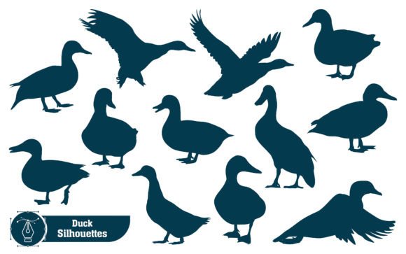 Animal Duck Silhouette Graphics & Illustrations
