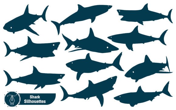 Animal Shark Silhouettes: Graphics & Illustrations for Bold Branding