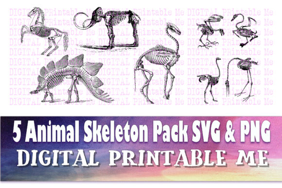 Animal Skeleton Clip Art Pack SVG PNG 5: Graphics & Illustrations