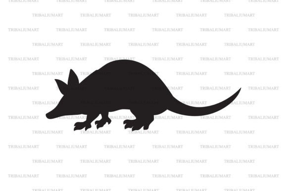 Armadillo Animal Graphics & Illustrations