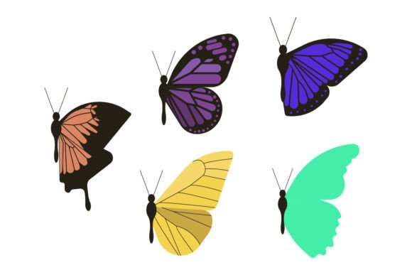 Butterfly Animal Graphics & Illustrations