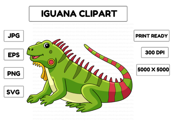 Iguana Animal Colored Cartoon: Graphics & Illustrations