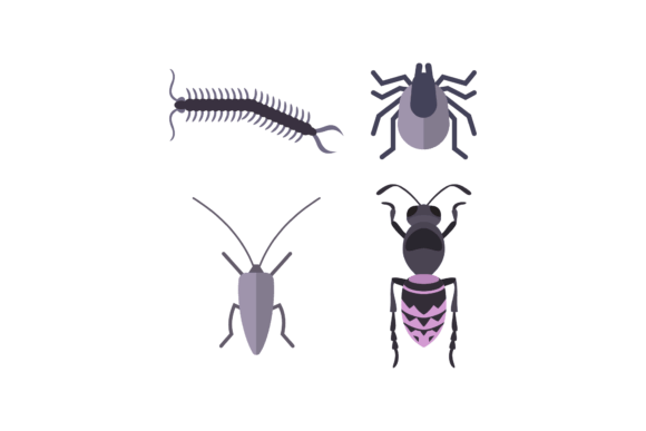Insect Animal Vector: Handmade Graphics & Illustrations