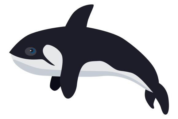 Orca Icon Graphics: Arctic Illustrations for Local Branding