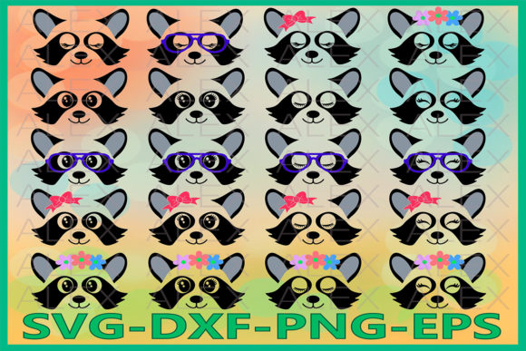 Raccoon Face, Animal Graphics & Illustrations