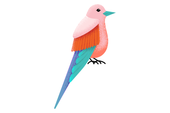 Tropical Bird Graphics: Colorful Illustrations for Sellers