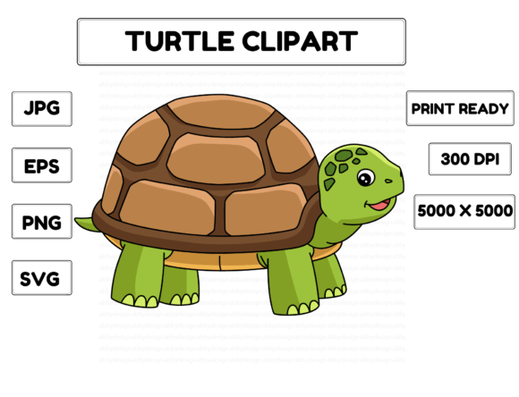 Turtle Animal Cartoon Colored Clipart: Graphics & Illustrations for Real Publishing